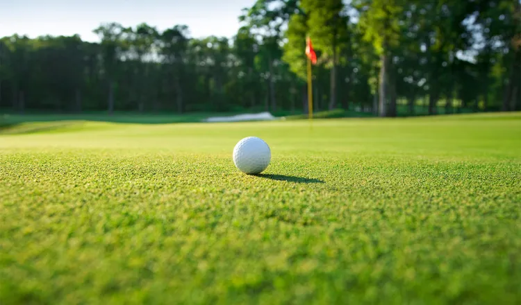 Detailaufnahme eines Golfballs auf einem besonders grünem Fairway im Golfurlaub im Grand Hotel Binz auf Rügen.
