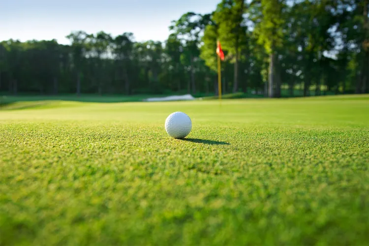 Detailaufnahme eines Golfballs auf einem besonders grünem Fairway im Golfurlaub im Grand Hotel Binz auf Rügen.