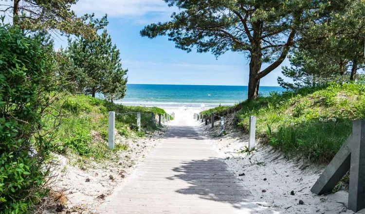 Ein Holzweg führt zum ruhigen Sandstrand an der Ostsee und himmlisch blauen Wasser, gesäumt von Bäumen und Grünfläche.
